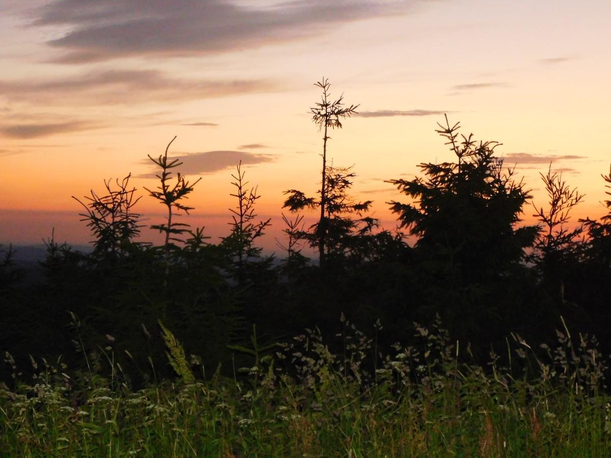 Rathaushotels Oberwiesenthal All Inclusive 外观 照片